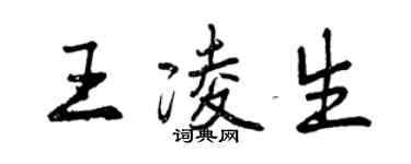 曾庆福王凌生行书个性签名怎么写