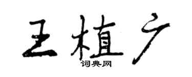 曾庆福王植广行书个性签名怎么写