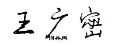 曾庆福王广密行书个性签名怎么写