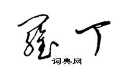 梁锦英罗丁草书个性签名怎么写