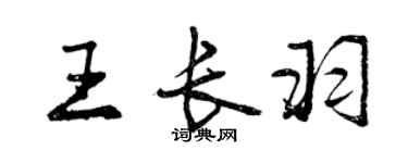 曾庆福王长羽行书个性签名怎么写