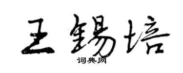 曾庆福王锡培行书个性签名怎么写