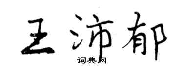 曾庆福王沛郁行书个性签名怎么写