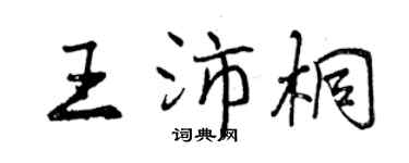 曾庆福王沛桐行书个性签名怎么写