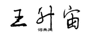 曾庆福王升宙行书个性签名怎么写