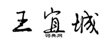 曾庆福王宜城行书个性签名怎么写
