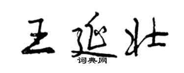 曾庆福王延壮行书个性签名怎么写