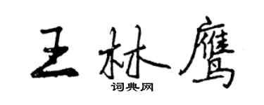 曾庆福王林鹰行书个性签名怎么写