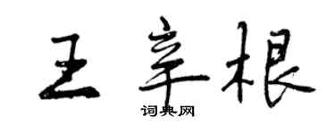 曾庆福王辛根行书个性签名怎么写