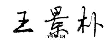 曾庆福王景朴行书个性签名怎么写