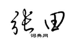 梁锦英张田草书个性签名怎么写