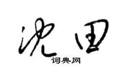 梁锦英沈田草书个性签名怎么写