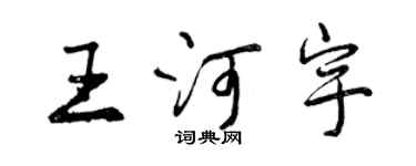曾庆福王河宇行书个性签名怎么写