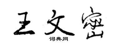 曾庆福王文密行书个性签名怎么写