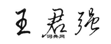 骆恒光王君强行书个性签名怎么写