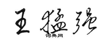 骆恒光王猛强行书个性签名怎么写