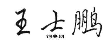骆恒光王士鹏行书个性签名怎么写