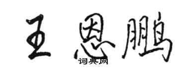 骆恒光王恩鹏行书个性签名怎么写