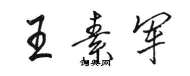 骆恒光王素军行书个性签名怎么写