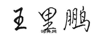 骆恒光王里鹏行书个性签名怎么写