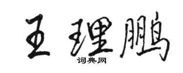 骆恒光王理鹏行书个性签名怎么写
