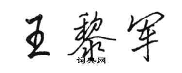 骆恒光王黎军行书个性签名怎么写