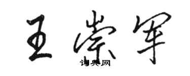 骆恒光王崇军行书个性签名怎么写