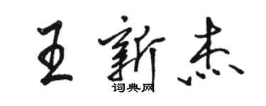 骆恒光王新杰行书个性签名怎么写