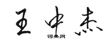 骆恒光王中杰行书个性签名怎么写