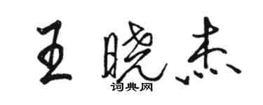 骆恒光王晓杰行书个性签名怎么写