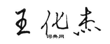 骆恒光王化杰行书个性签名怎么写