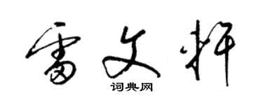 梁锦英雷文轩草书个性签名怎么写