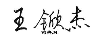 骆恒光王锨杰行书个性签名怎么写