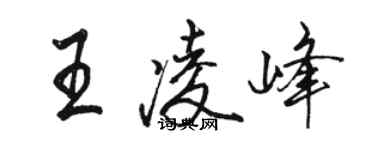 骆恒光王凌峰行书个性签名怎么写