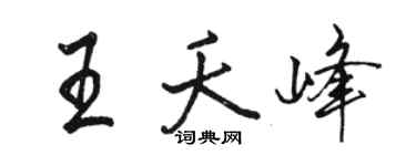 骆恒光王夭峰行书个性签名怎么写