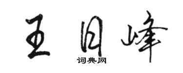 骆恒光王日峰行书个性签名怎么写