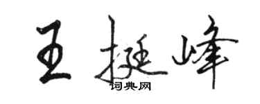 骆恒光王挺峰行书个性签名怎么写