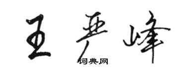 骆恒光王严峰行书个性签名怎么写