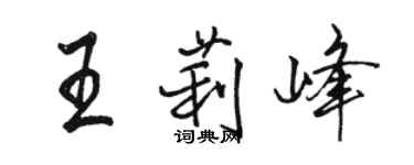 骆恒光王莉峰行书个性签名怎么写