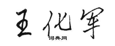 骆恒光王化军行书个性签名怎么写