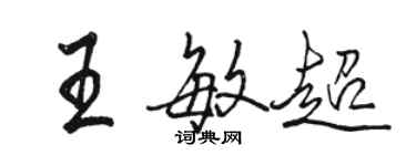 骆恒光王敏超行书个性签名怎么写