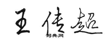 骆恒光王传超行书个性签名怎么写
