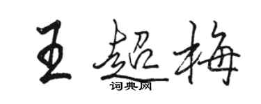 骆恒光王超梅行书个性签名怎么写