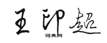 骆恒光王印超行书个性签名怎么写