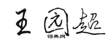 骆恒光王园超行书个性签名怎么写