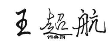 骆恒光王超航行书个性签名怎么写