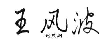 骆恒光王风波行书个性签名怎么写
