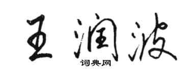 骆恒光王润波行书个性签名怎么写