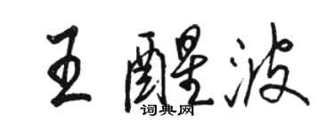 骆恒光王醒波行书个性签名怎么写