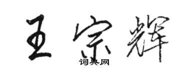骆恒光王宗辉行书个性签名怎么写